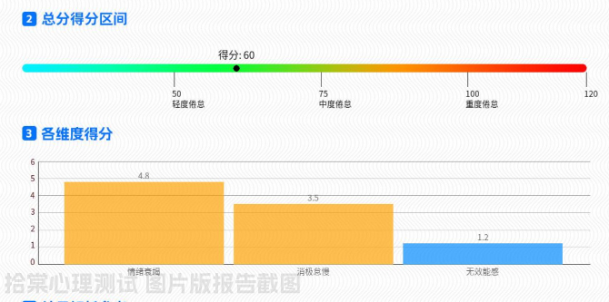 MBI-GS工作倦怠测试-拾棠心理测试 图片版报告截图