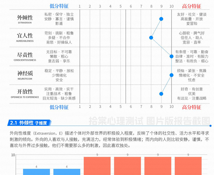 大五人格测试NEO-PI-R-拾棠心理测试图片版测试报告截图